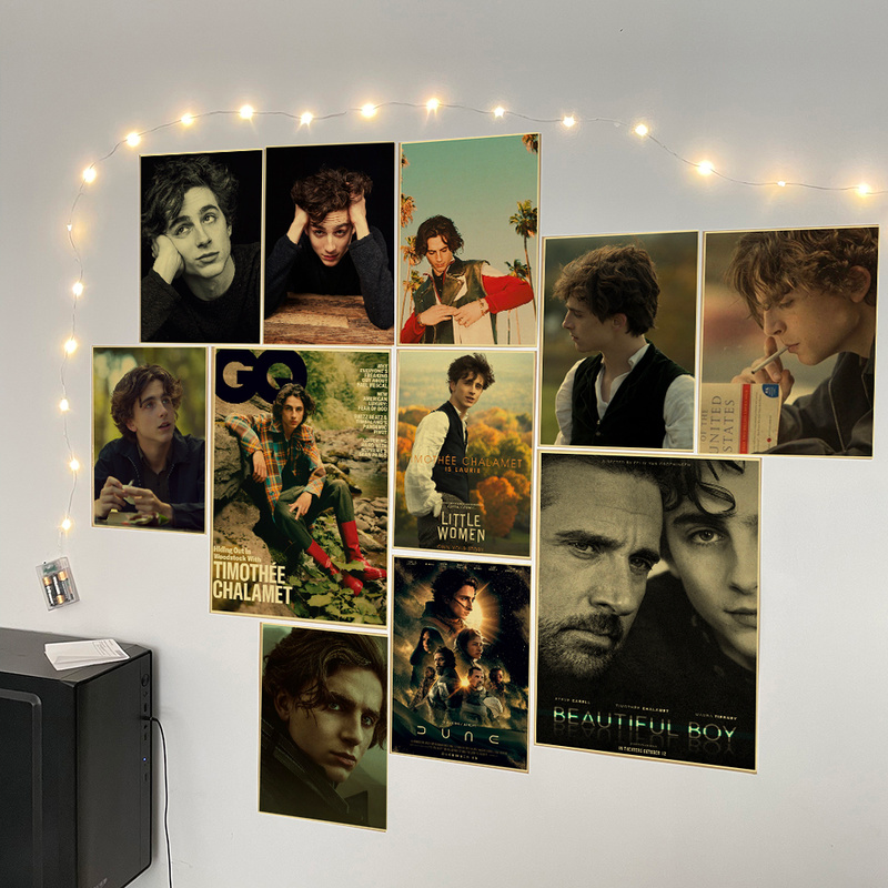 Timothee Chalamet Retro Canvas - Home Bar And Theater 评论和价格